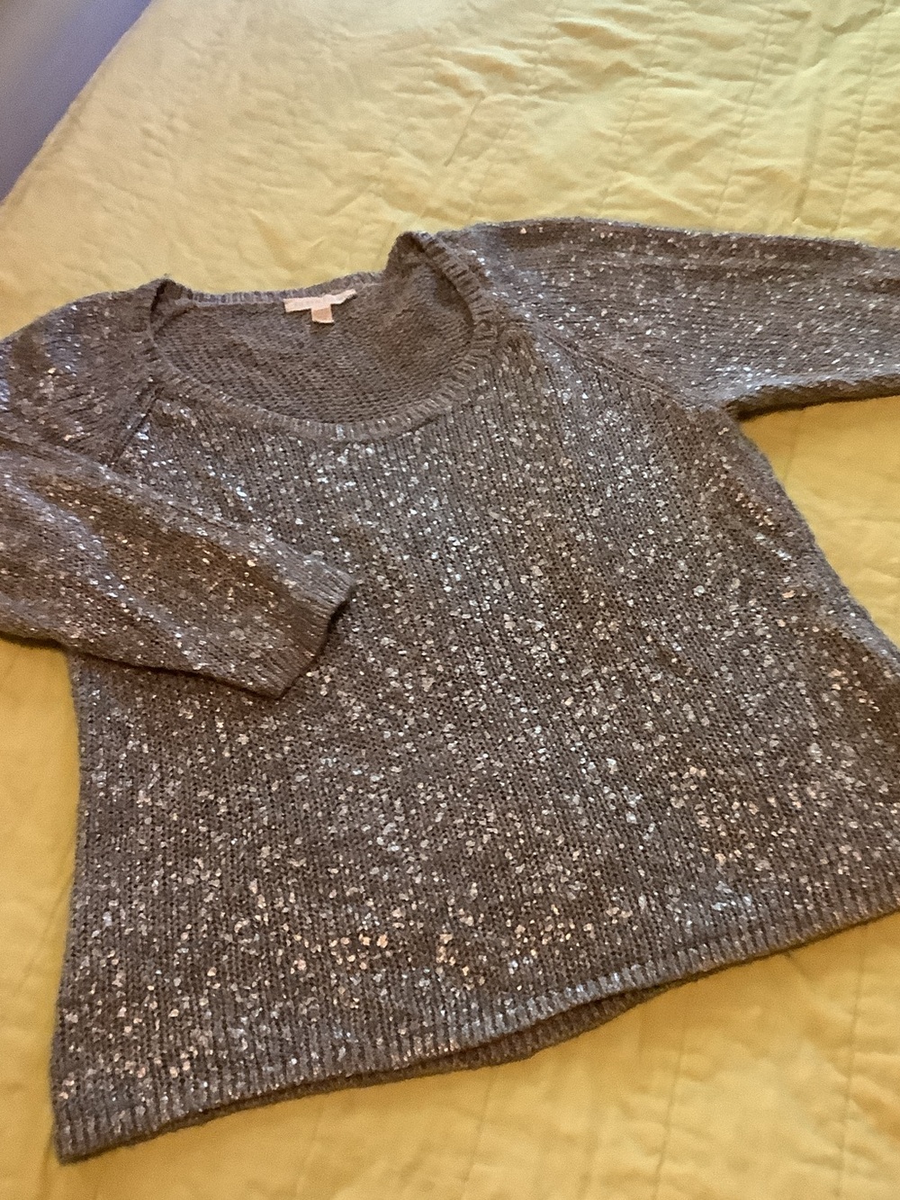 Eileen Fisher Gray Crewneck Sweater with Sequin Detail